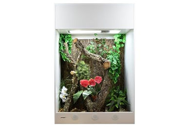 Lucky Reptile IsoTarrium Pro Terrarium 80 x 50 x 120 cm für Reptilien wie Bartagamen und Schlangen – Bild 1 von 3