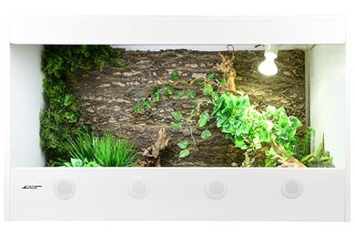 Produktbild von Lucky Reptile IsoTarrium Terrarium 100 x 50 x 60 cm für Reptilien wie Bartagamen und Schlangen