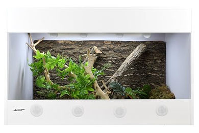 Lucky Reptile IsoTarrium Terrarium 80 x 50 x 50 cm für Reptilien wie Bartagamen und Schlangen – Bild 1 von 4