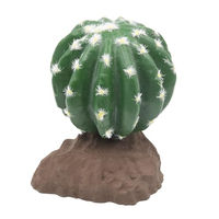 Produktbild von Lucky Reptile Kugelkaktus 13 cm