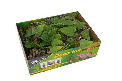 Lucky Reptile Life Experience Deco Set Jungle Naturmaterial mit Ast und Versteck für kleine Nano-Terrarien – Bild 1 von 5