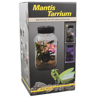 Produktbild von Lucky Reptile MantisTerrarium für Insekten 5 l Transparent - 5 l