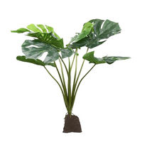 Produktbild von Lucky Reptile Monstera Pflanze 60 cm für Reptilien und Frösche