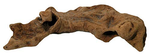 Produktbild von Lucky Reptile Opuwa Holz Ast Terrariumdeko Braun Größe M