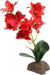 Produktbild von Lucky Reptile Orchidee rot 30 cm