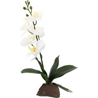 Produktbild von Lucky Reptile Orchidee weiß 35 cm