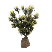 Produktbild von Lucky Reptile Podocarpus Pflanze 40 cm für Echsen und Frösche