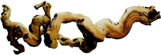 Produktbild von Lucky Reptile Premium Rebholz Ast für Reptilien 50-80cm Braun
