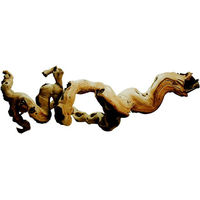 Produktbild von Lucky Reptile Premium Rebholz Ast für Reptilien Braun M 40-70cm