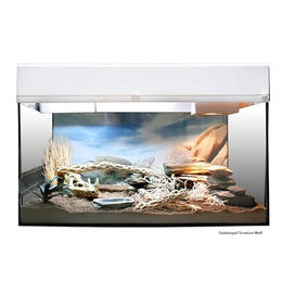 Lucky Reptile Starter Kit Wüstengecko Terrarium aus Glas in Weiß – Bild 1 von 3