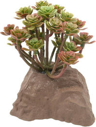 Lucky Reptile Steinpflanze Felsformation aus Kunststoff Grün 10 cm Terrarium Deko für Reptilien – Bild 1 von 3