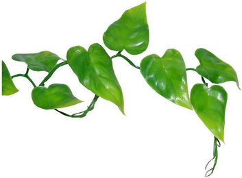 Lucky Reptile Terrariendeko Pilodendrum Ranke aus Kunststoff in Grün für Frösche und Schildkröten – Bild 1 von 2
