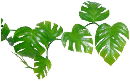 Lucky Reptile Terrariendeko Pothos Ranke aus Kunststoff in Grün – Bild 1 von 2