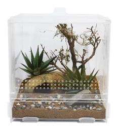 Lucky Reptile Terrarium aus Acryl für Reptilien 20 x 20 x 20 cm – Bild 1 von 3