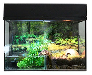 Lucky Reptile Terrarium Starter Kit für Bombina und Pacman Frösche Schwarz 80 x 40 x 52 cm – Bild 1 von 3
