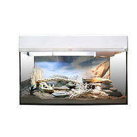 Produktbild von Lucky Reptile Terrarium Starter Kit für Leopardgecko Wüste Weiß 80 cm - 1 Stk.