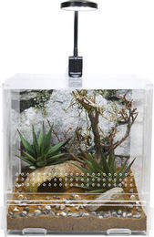 Lucky Reptile USB Mini LED Lampe 3,5W Schwarz für Reptilien und Amphibien – Bild 1 von 3