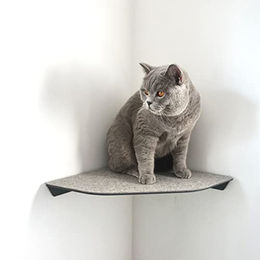 LucyBalu Corner Katzenliege und Kletterstufe mit Filzauflage für Wandecken in Grau – Bild 1 von 5
