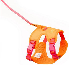 LucyBalu Explorer Katzengeschirr mit Leine und AirTag Fach ausbruchsicher Berry Orange XS/S – Bild 1 von 4