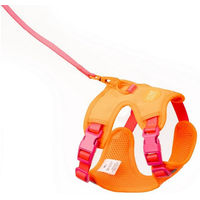 Produktbild von LucyBalu Explorer Katzengeschirr mit Leine und AirTag Fach ausbruchsicher Berry Orange XS/S