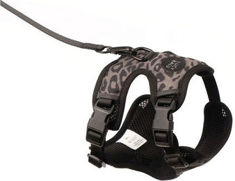 LucyBalu Explorer Katzengeschirr mit Leine und AirTag Fach ausbruchsicher Leo M/L – Bild 1 von 6