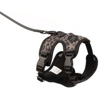 Produktbild von LucyBalu Explorer Katzengeschirr mit Leine und AirTag Fach ausbruchsicher Leo M/L