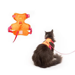 LucyBalu Explorer Katzengeschirr mit Leine und AirTag Fach Berry Orange M/L – Bild 1 von 4