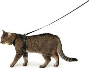 LucyBalu Explorer Katzengeschirr mit Leine und AirTag Fach Schwarz XS/S – Bild 1 von 10
