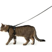 Produktbild von LucyBalu Explorer Katzengeschirr mit Leine und AirTag Fach Schwarz XS/S
