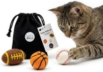 LucyBalu Filzbälle SUPER BALLS Hundespielzeug – Bild 1 von 1
