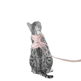 LucyBalu Hello Kitty Explorer Katzengeschirr mit Leine und AirTag Fach Rosa M/L – Bild 1 von 6