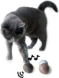 LucyBalu Katzen Spielzeug Set aus Filz und Wolle mit Glocke 3 Stück – Bild 1 von 11