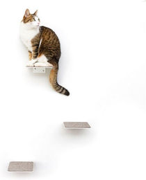 LucyBalu Katzentreppe Steps 3er Set Katzen Kletterwand aus Metall in Weiß und Grau – Bild 1 von 13