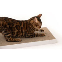 Produktbild von LucyBalu Kratzpappe Katzen Kratzbrett weiß beige