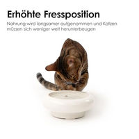 Produktbild von LucyBalu MYCO erhöhter Katzennapf aus Keramik in organischer Form weiß