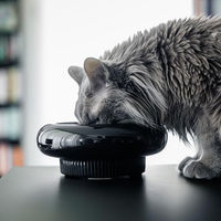 Produktbild von LucyBalu MYCO erhöhter Katzennapf aus Keramik in Schwarz