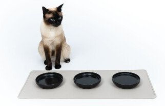 LucyBalu Napfunterlage für Katzen aus Silikon in Taupe XL – Bild 1 von 7