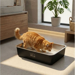 LucyBalu STEELOO Katzenklo aus Edelstahl offene Schalentoilette für Katzen – Bild 1 von 5