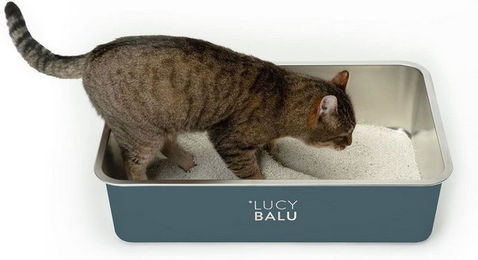 LucyBalu STEELOO Katzenklo aus Edelstahl XXL offene Schalentoilette grau – Bild 1 von 13