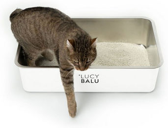 LucyBalu STEELOO Katzenklo aus Edelstahl XXL Offene Schalentoilette Weiß – Bild 1 von 13