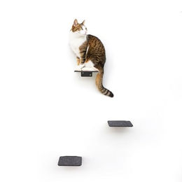 LucyBalu STEPS Katzentreppe Wandmontage aus Metall Grau Klein – Bild 1 von 9