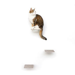 LucyBalu Steps XL Katzentreppe Wand Innen & Außen 3er Set Weiß – Bild 1 von 8