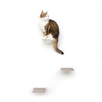 Produktbild von LucyBalu Steps XL Katzentreppe Wand Innen & Außen 3er Set Weiß