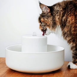 LucyBalu Trevi Trinkbrunnen für Katzen aus Keramik in Weiß - 2,8 l – Bild 1 von 8