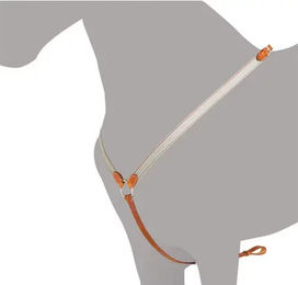 Produktbild von Ludomar Jagdhalsband für Pferde aus Leder in Braun