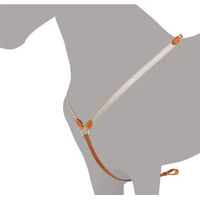 Produktbild von Ludomar Jagdhalsband für Pferde aus Leder in Braun