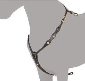 Ludomar Jagdhalsband für Pferde in Schwarz – Bild 1 von 1