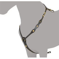 Produktbild von Ludomar Jagdhalsband für Pferde Schwarz Größe F