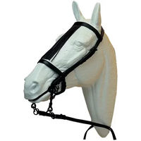 Produktbild von Ludomar Leder Trense für Ponys in Braun oder Schwarz