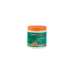 Luposan Gelenk Supplement Tabletten für Hunde aller Altersstufen und Größen 180 g – Bild 1 von 4
